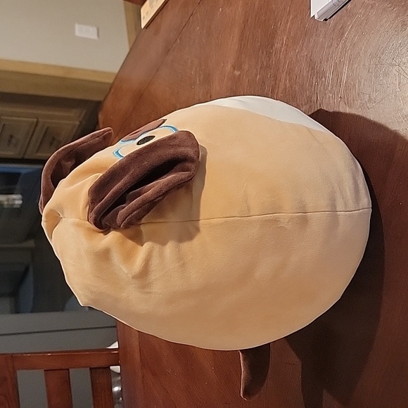 (J3) Daryl the dog with glasses Squishmallow - Picture 4 of 8